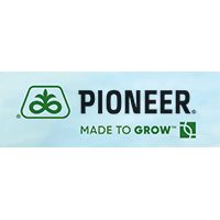 hibridul de floarea soarelui, Pioneer®