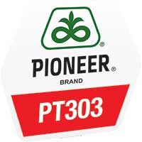 PT303, un aliat in camp, Corteva Agriscience Romania