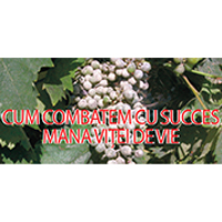 cortvea agriscience, corteva