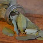 Frunzele de dafin - sănătate curată și diferite utilizări