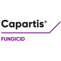 Capartis, fungicidul pentru culturile oleaginoase și tehnice, Corteva Agriscience