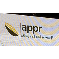 trofeul porumbul de aur, castigat cu hibridul Pioneer P1535, Corteva Agriscience