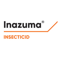 INAZUMA, Corteva Agriscience , soluția completa pentru combaterea daunatorilor din cultura de rapita