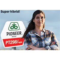 PT298, Agile - hibridul de rapita Pioneer®, cel mai ridicat nivel de rezistenta la scuturare, Corteva Agriscience