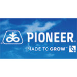 Hibrizii de floarea soarelui Pioneer® -  Performanță și Stabilitate demonstrate